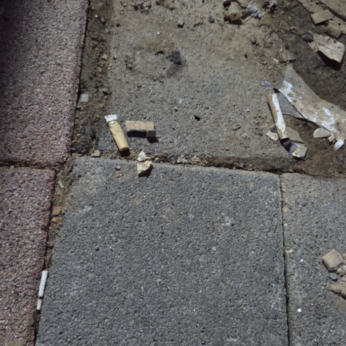  서울강남구.동네.쓰레기.플로깅