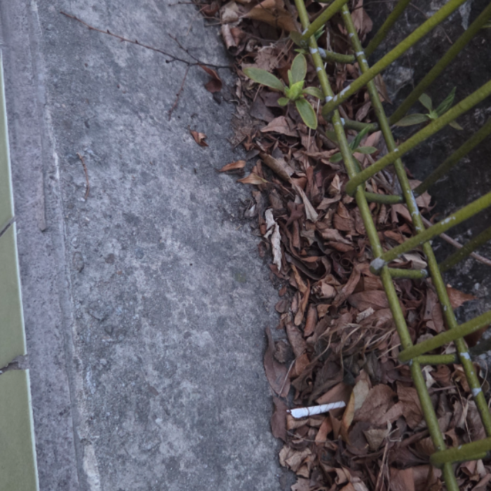  서울강남구.동네.쓰레기.플로깅