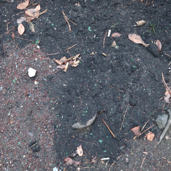  서울강남구.동네.쓰레기.플로깅