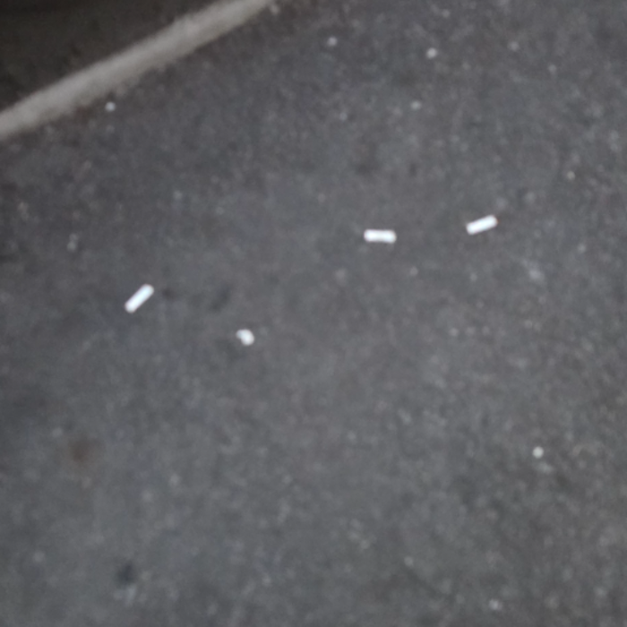  서울강남구.동네.쓰레기.플로깅