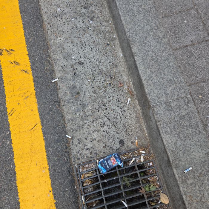  서울강남구.동네.쓰레기.플로깅
