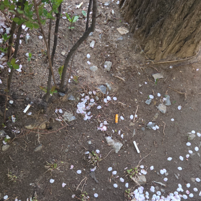  서울강남구.동네.쓰레기.플로깅