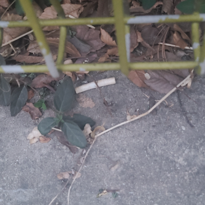  서울강남구.동네.쓰레기.플로깅