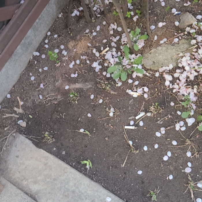  서울강남구.동네.쓰레기.플로깅