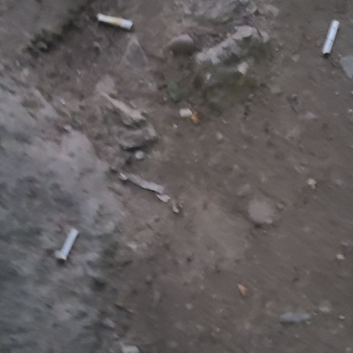 RCA 사진 2
