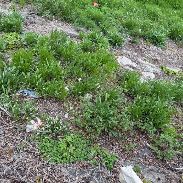  전주시.동네.쓰레기.플로깅