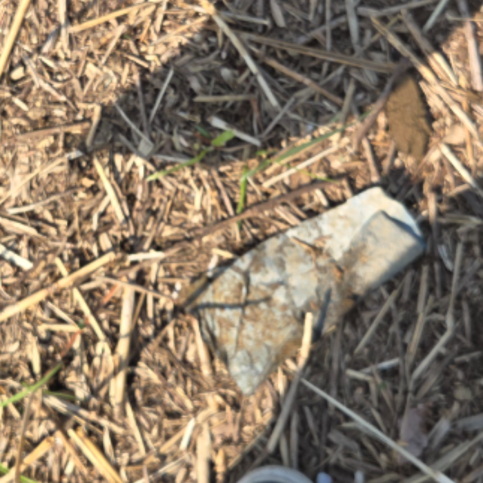  서울강남구.동네.쓰레기.플로깅