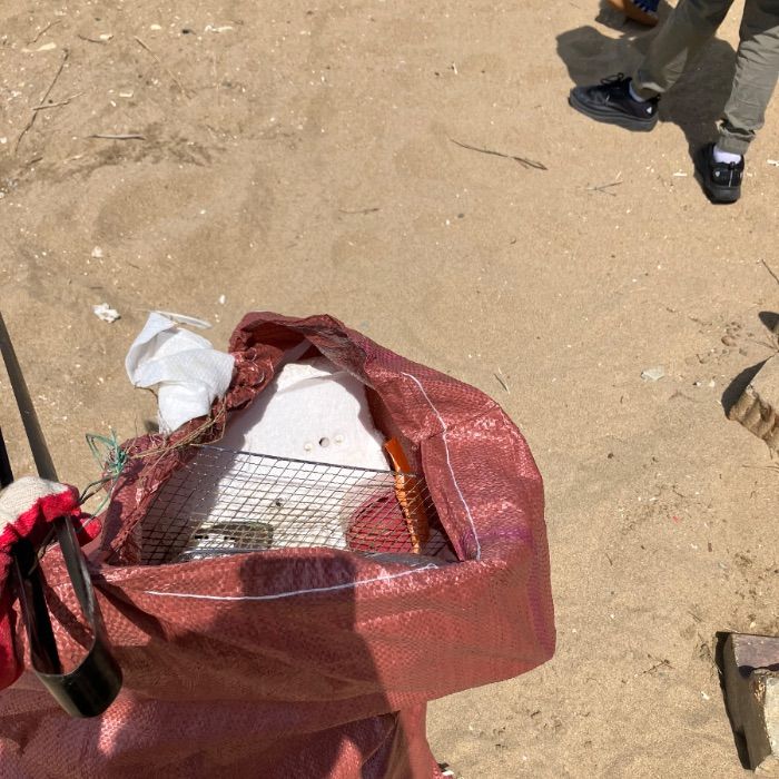 궁평리해변 2