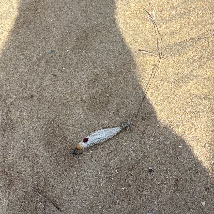 왕산해수욕장 정화 사진 8