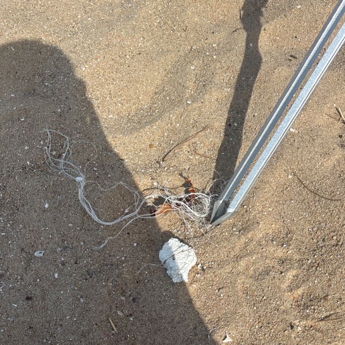 왕산해수욕장 정화 사진 20