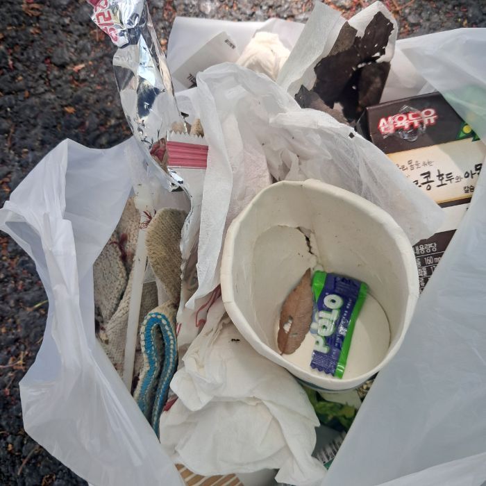  완주군.동네.쓰레기.플로깅