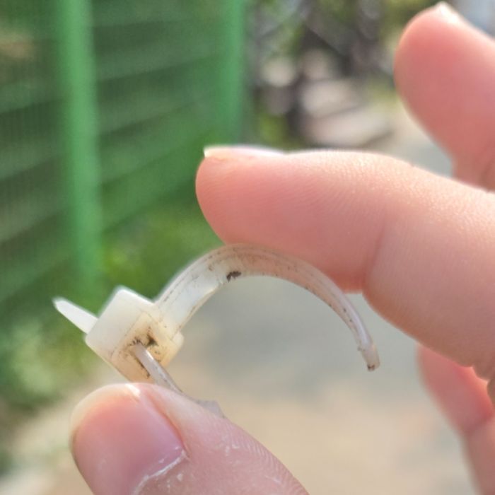 가나디 사진 14