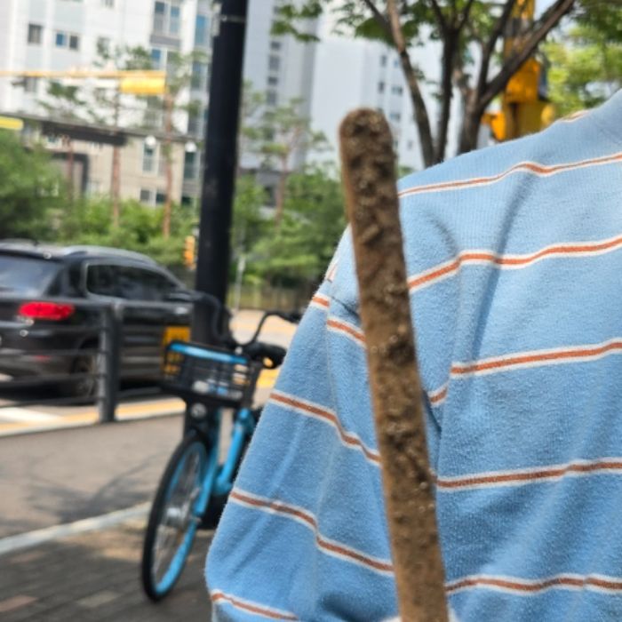 가나디 사진 12
