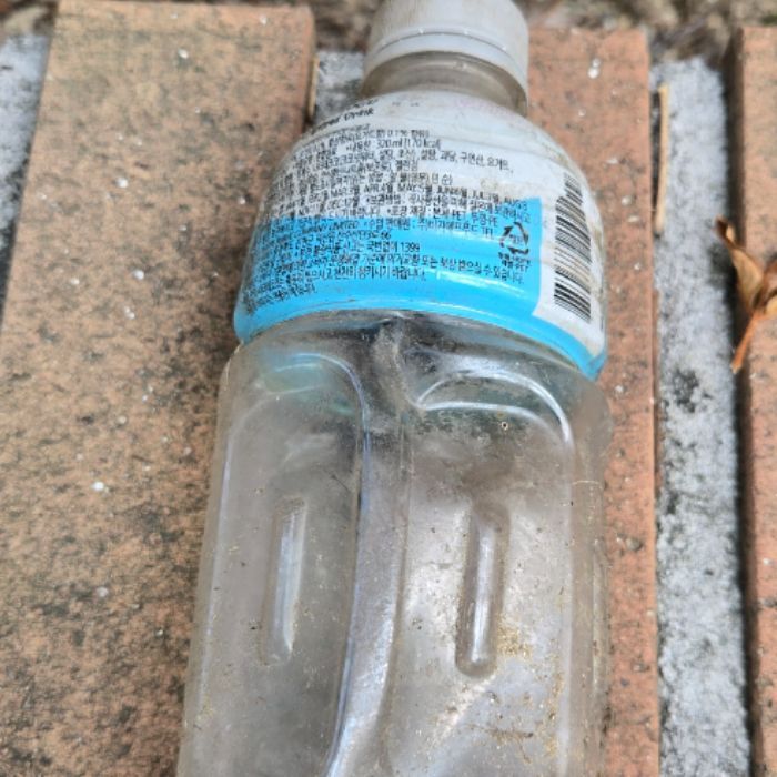 가나디 사진 7