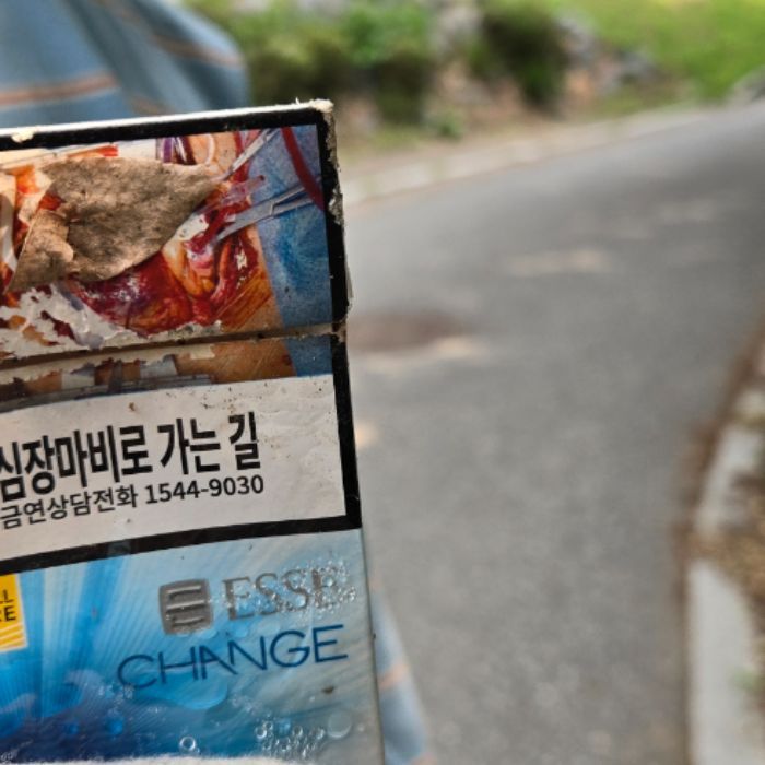 가나디 사진 3