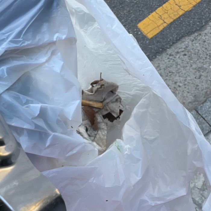 서울강남구.동네.쓰레기.플로깅