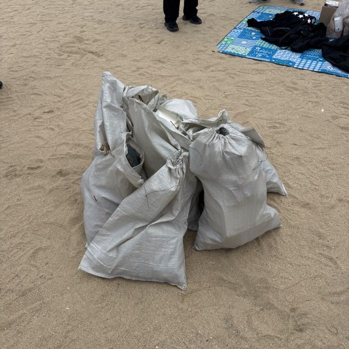 영진해변 정화 사진