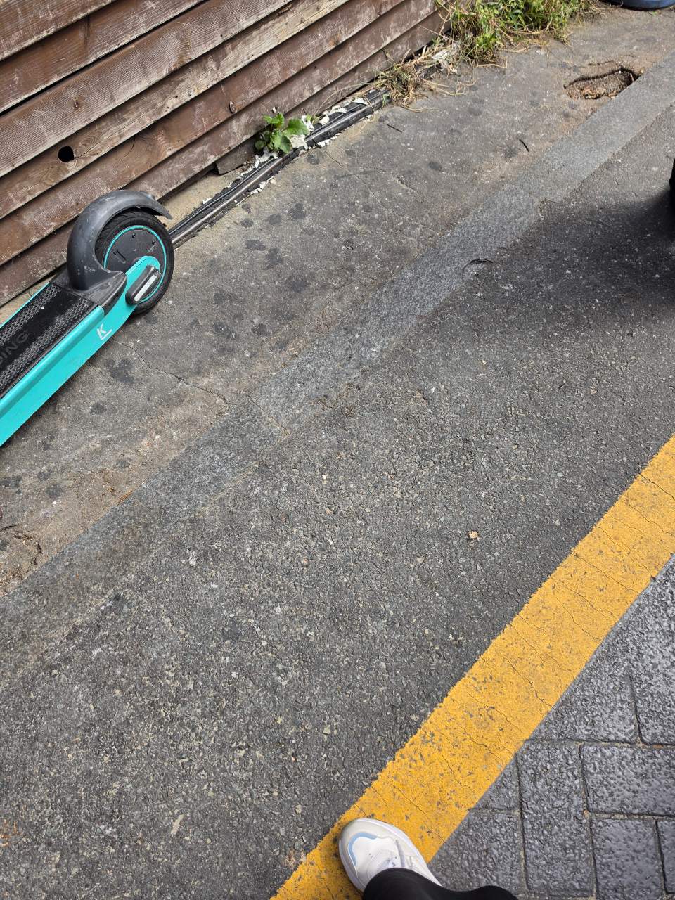  정화 사진 3
