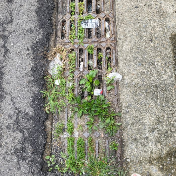  용인시.동네.쓰레기.플로깅