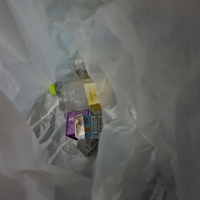  강릉시.동네.쓰레기.플로깅