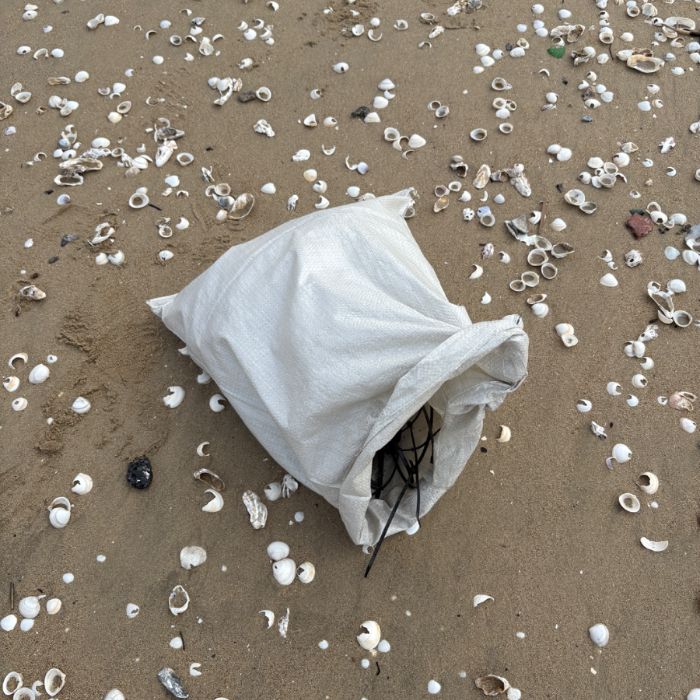 매바위공원해변 정화 사진 3