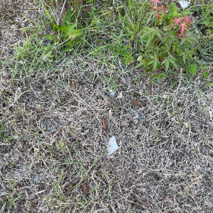  김포시.동네.쓰레기.플로깅