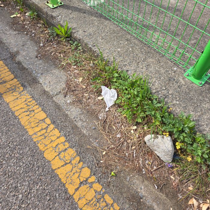주차장에서 비양심으로 버린 물티슈, 커피컵