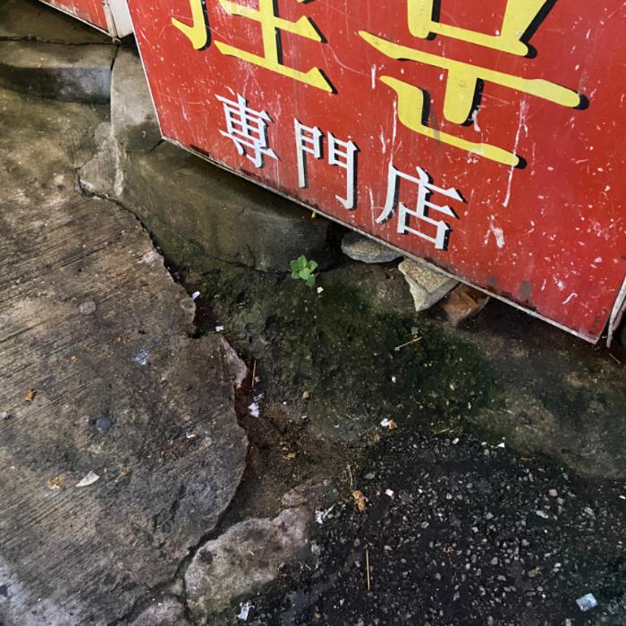 서울종로구.식당가.일회용품.분리배출함필요