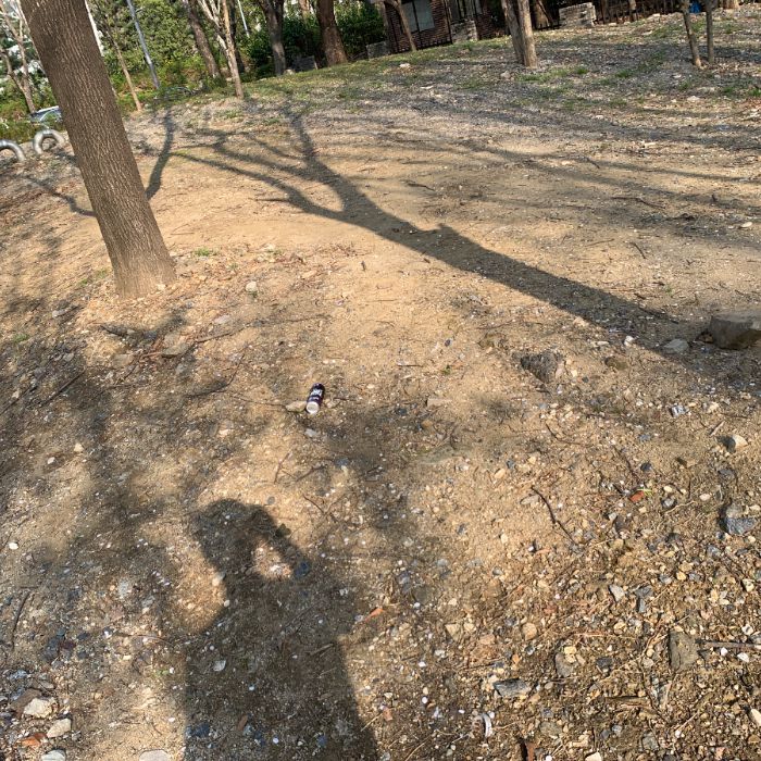 주말 양재천 벚꽃놀이 중에 쓰레기를 아무데나 버린광경을 목격했네요.
