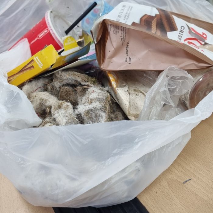 학교주변에 애들이 버려논 음료수 병이나 쓰레기들이 많았고, 가장 큰 문제는 담배꽁초인것 같다