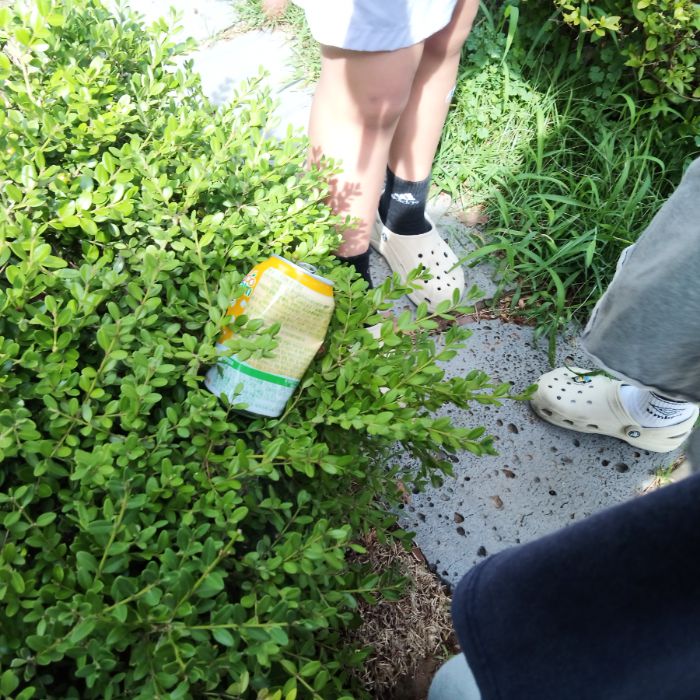 안녕하세요, 저는 송린초등학교 5학년 8반 심은서 입니다.
오늘 저는 반에서 학교 주변을 돌아다녀봤는데요..
조금 심각하더라고요..
먼저, 학교