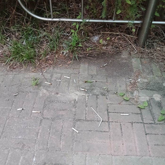  광양시.동네.쓰레기.플로깅