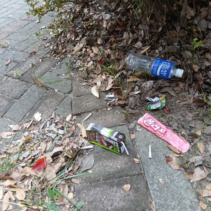  광양시.동네.쓰레기.플로깅