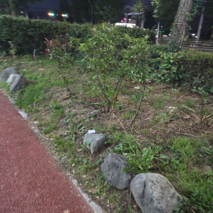  창원시.동네.쓰레기.플로깅