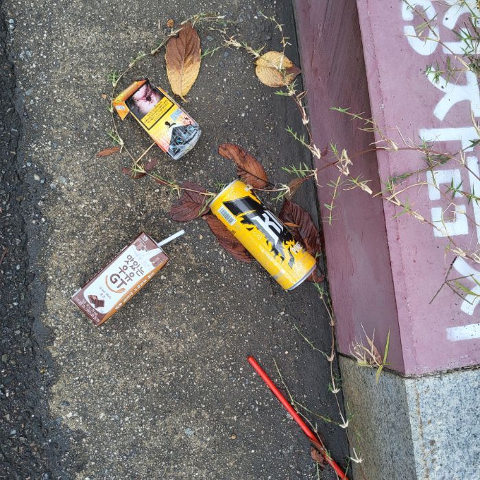  광양시.동네.쓰레기.플로깅