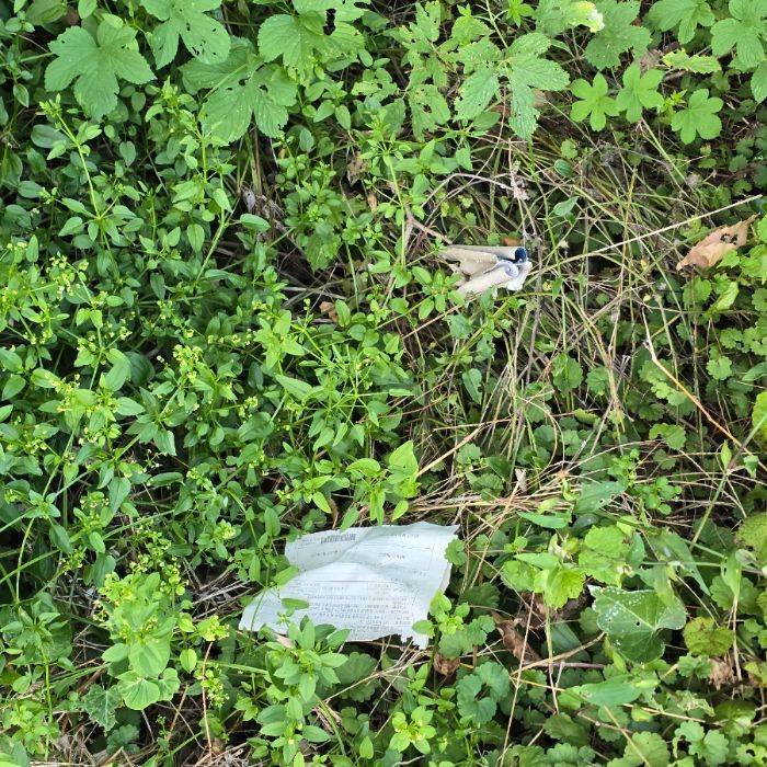  서산시.동네.쓰레기.플로깅