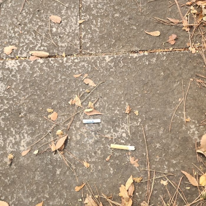 pics