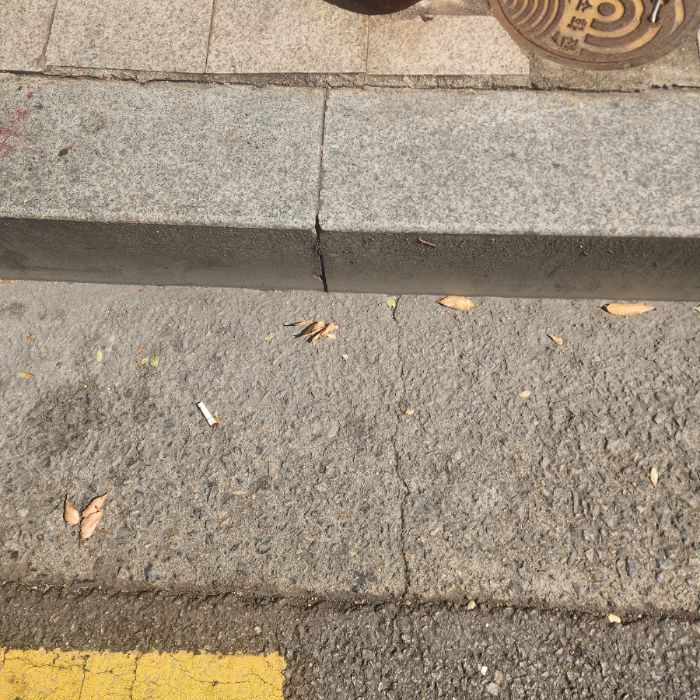  서울강남구.동네.쓰레기.플로깅