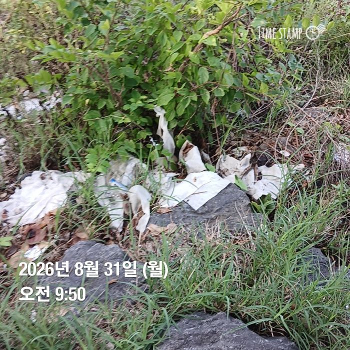  창원시.동네.쓰레기.플로깅
