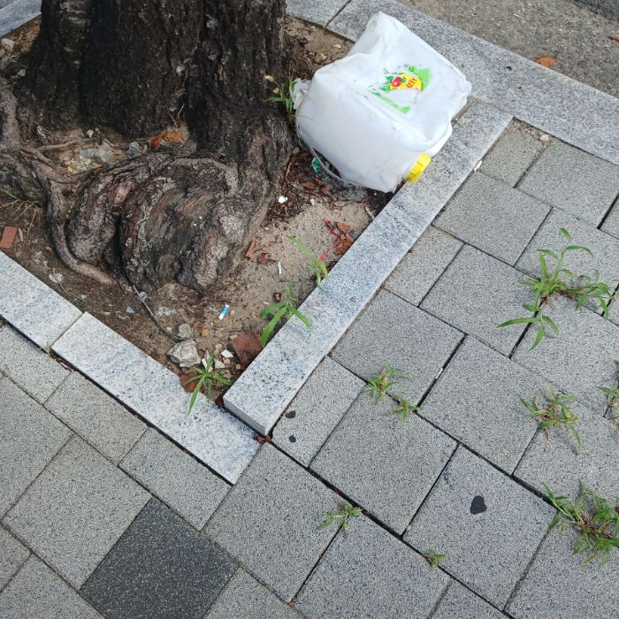  창원시.동네.쓰레기.플로깅